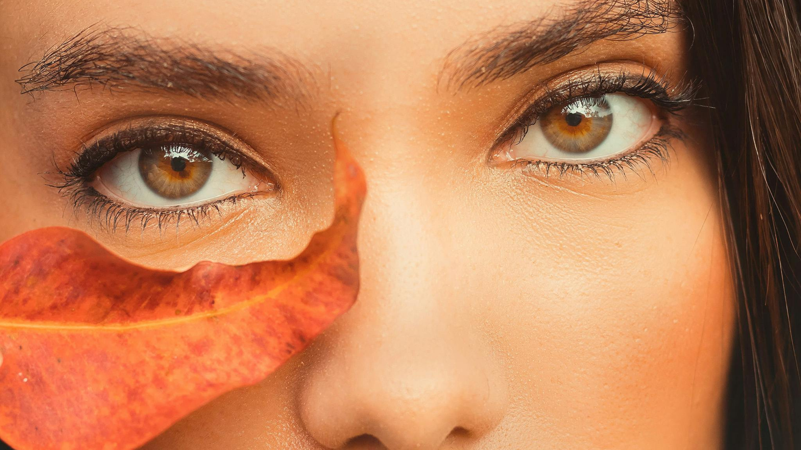 Top 10 Skincare Ingredients for Fall: Essential Picks for Glowing Skin